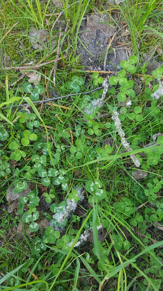 MeatEaterYeah tweet media