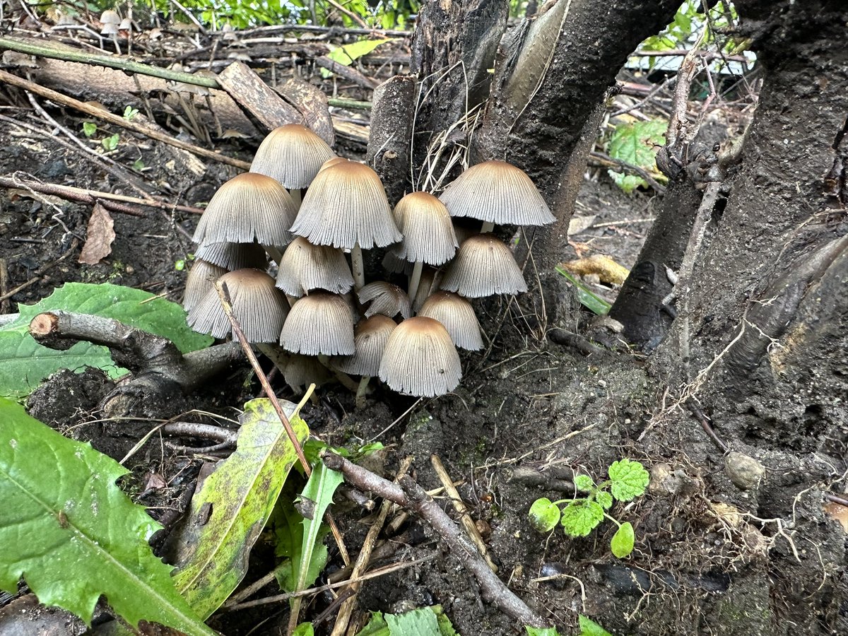A good omen for today’s hunt.