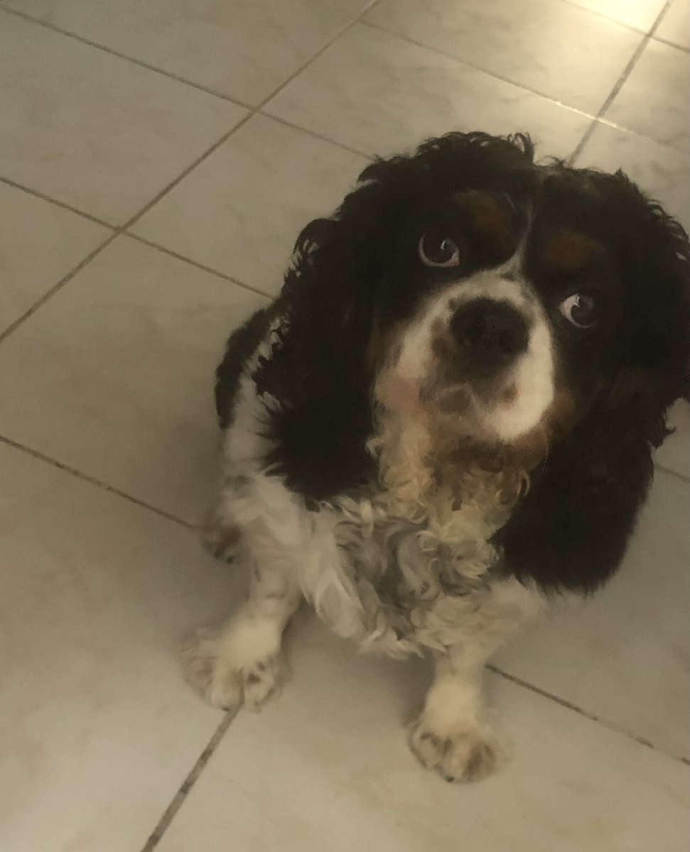 Lebronu bırakıp bozkıra donuş😤