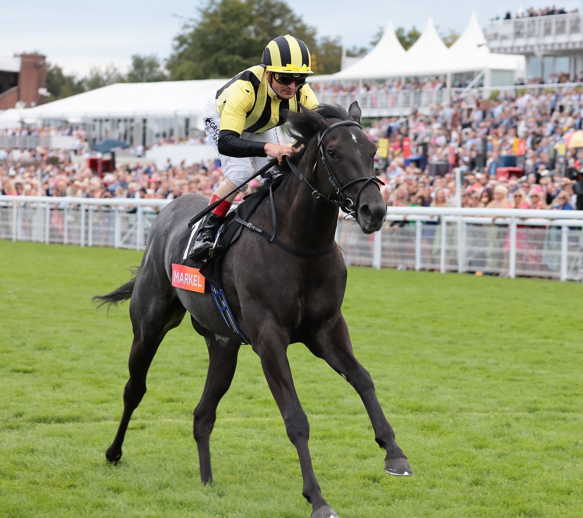 RacingPost's tweet photo. VANDEEK wins the Middle Park Stakes in impressive fashion! 🟡⚫️ https://t.co/kPe3XT9j1A