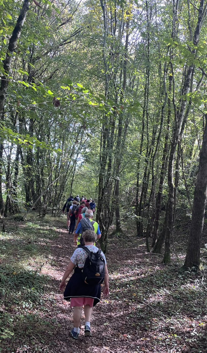 SAuconie's tweet photo. L’édition 2023 de la Marche Rose est lancée
60 communes seront traversées aux côtés de milliers de marcheurs, élus, malades :
✔️sensibilisation au dépistage et à la prévention
✔️l’accès aux mêmes soins pour tous dans les territoires ruraux
✔️la collecte de dons pour la recherche https://t.co/rkL6CKb4Eu