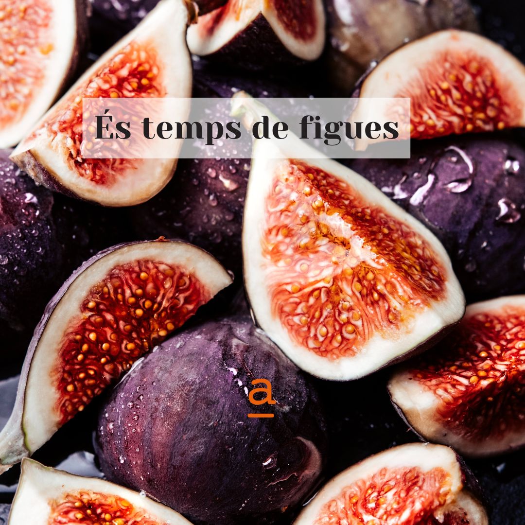 FundacioAlicia's tweet image. Les figues són boníssimes en aperitius, amanides, purés, tallades a làmines ben fines,... i contenen una gran quantitat de fibra, vitamines i minerals. Aprofita la temporada i prova noves maneres de menjar-les, com en un trinxat dolç! 🤤 #fundacioalicia #figues #salut #territori
