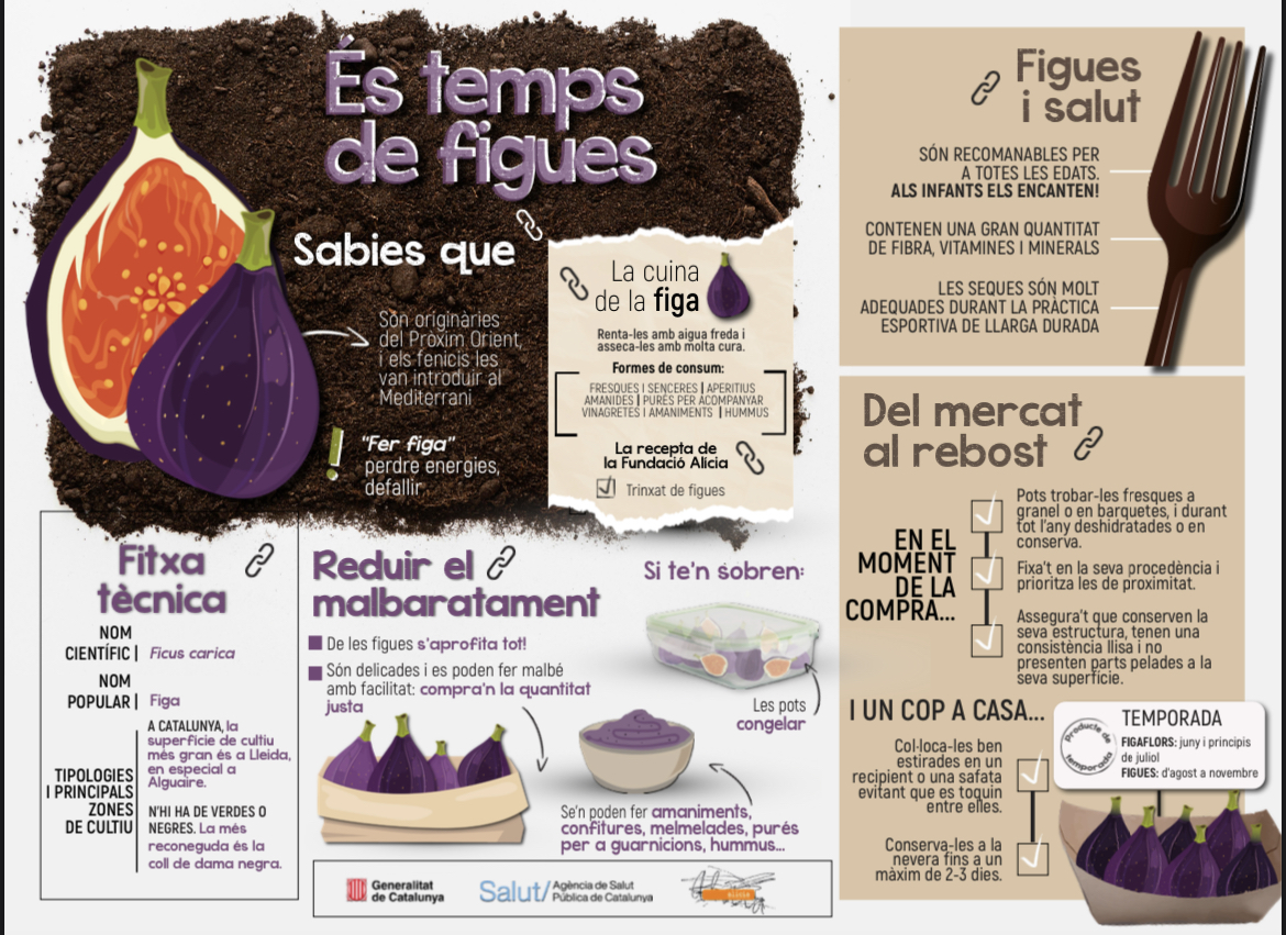 FundacioAlicia's tweet image. Les figues són boníssimes en aperitius, amanides, purés, tallades a làmines ben fines,... i contenen una gran quantitat de fibra, vitamines i minerals. Aprofita la temporada i prova noves maneres de menjar-les, com en un trinxat dolç! 🤤 #fundacioalicia #figues #salut #territori