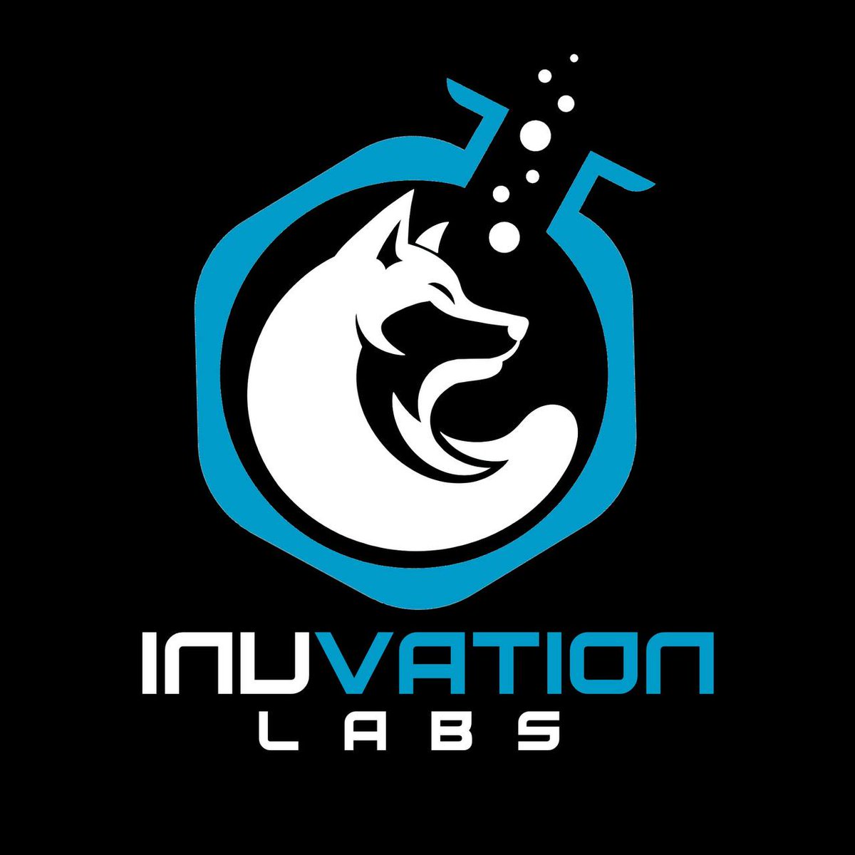 HarryPotterObamaInu tweet media