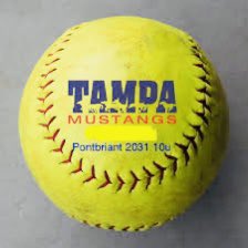 TpaMustangs2013's tweet photo. Game Day Let’s go tune in love on game changer for play by play @ExtraInningSB @TampaMustangs @CoachDot_LU @LibertySB @JAX_Softball @kassidyymaee @OU_Softball @UCF_Softball @UCLASoftball @GatorsSB @djgasso @FSU_Softball @JennieFinch https://t.co/d2rG3b6tz4