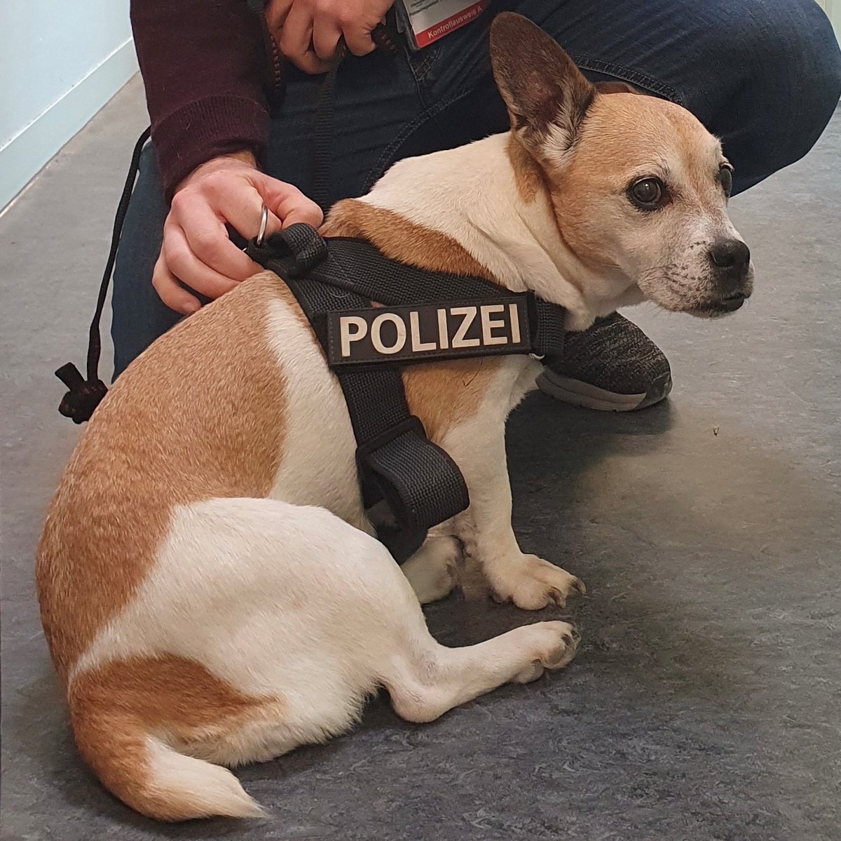 Polizei München tweet media
