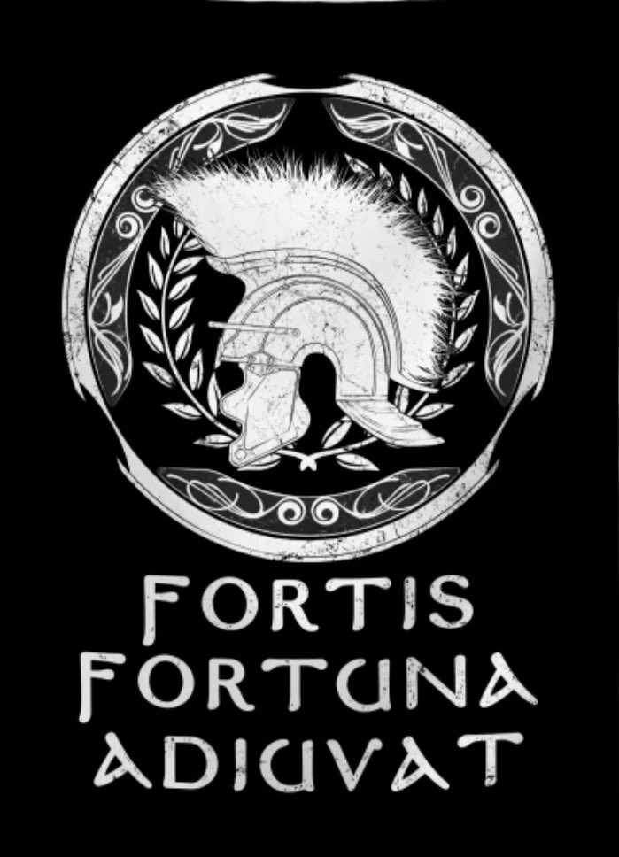 Fortis Fortuna Adiuvat Aluminum Print - Warrior Leader
