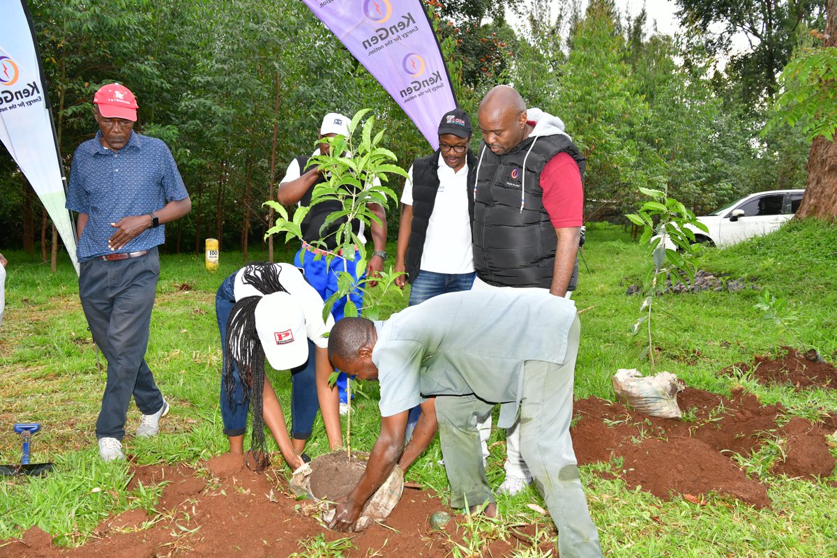 KenGenKenya's tweet photo. Golf and green go hand in hand at KenGen.๐๏ธโณ
Today, as part of our commitment to mitigating climate change, #TeamKenGen takes a swing at sustainability by planting 1,000 tree seedlings at the Kakamega Sports Club.
Together, we're teeing up a greener future! #KenGenTeeOff ^EM https://t.co/oP7pLGFPBz