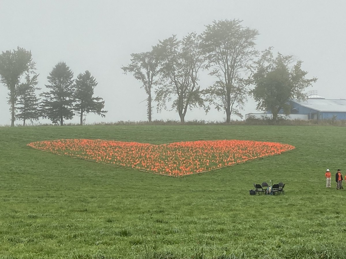 Len_Wagg_photo's tweet photo. Orange flags placed in a heart honour children who attended residential schools near the site of the former Shubenacadie Residential School in Nova Scotia. On Truth and Reconciliation Day, people gather to remember. https://t.co/W5o928jcBz