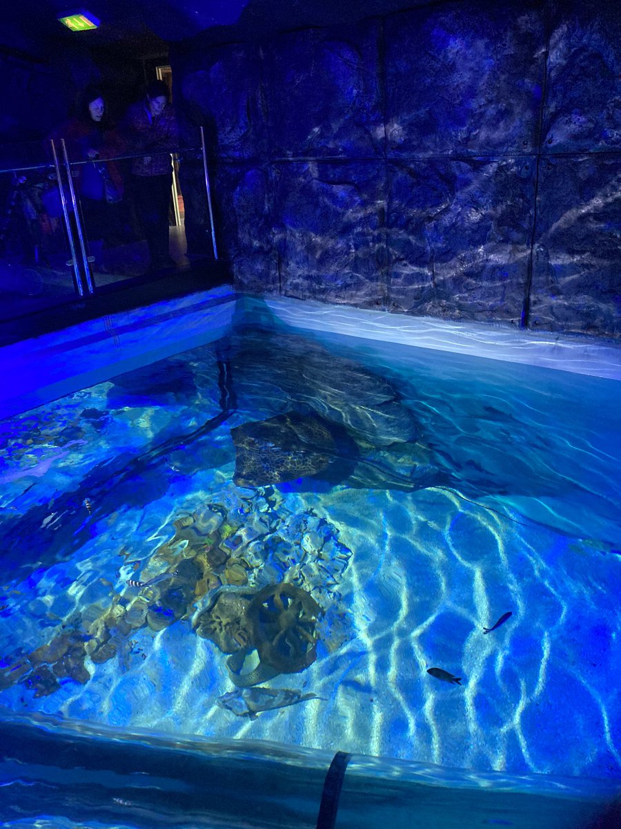 QUB Marine Biology and Zoology Society tweet media