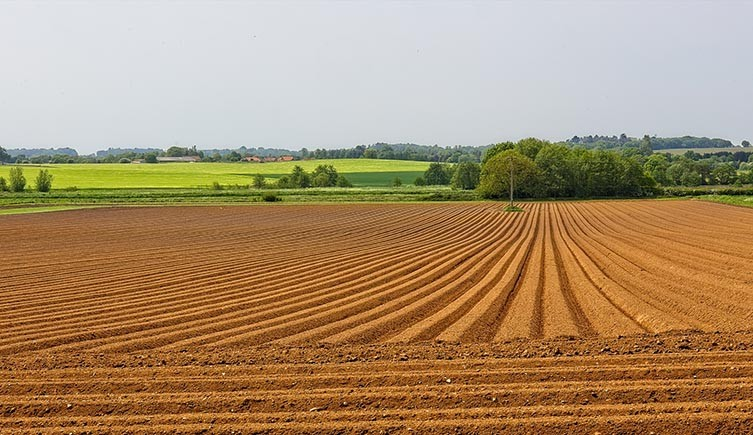 ECOWARRIORSS's tweet image. BBC last week were lamenting the disappearing nature in UK and their next item was how to boost economic growth 
They make no connection between economic growth and rapidly disappearing natural world 
The media have failed to tell people the truth 
You cannot have both