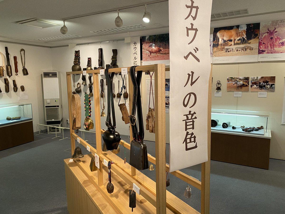 pwoura1997's tweet photo. 牛の博物館に行ってきました。肉牛と乳牛を体型で識別できるようになりました。

世界のカウベル展開催中。
お土産カウベルもあります。

【断層男】 https://t.co/xUbTvrYh9Q