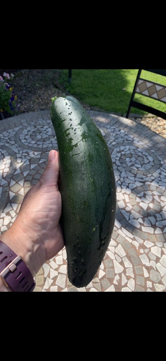 Look at the courgette what I grew a couple of years ago. Look at the girth on that!! 😳