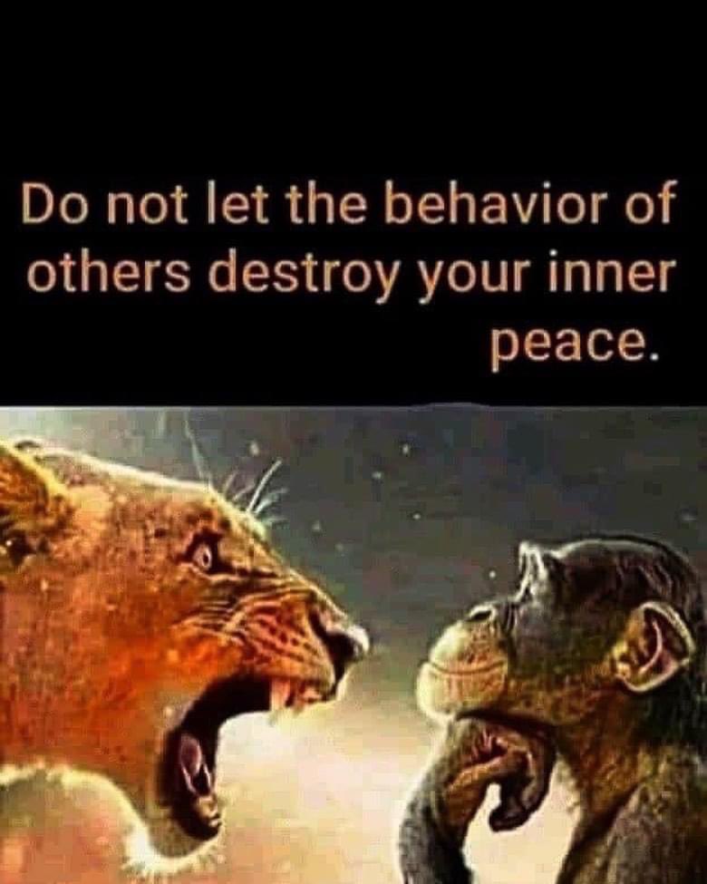 Robbie O’ Connell (@bobger26) on Twitter photo 