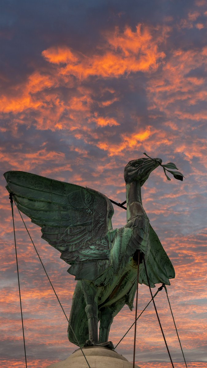 LiverpoolVista's tweet photo. My latest #Liverpool phone wallpaper. Please help yourself👍 https://t.co/85J24LEiCB
