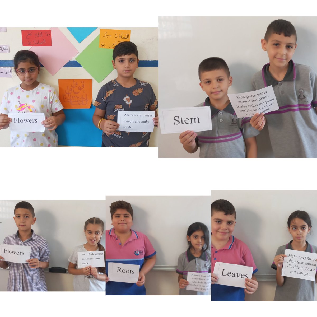 SamahGhorabi's tweet photo. Find your Partner Strategy" is one of the most strategies my learners like! 
Grade 4 learners applied it to know the function of each plant part.
@makdawhaschool @soha_nj @raefa_jomaa https://t.co/xPKyiRAvSO