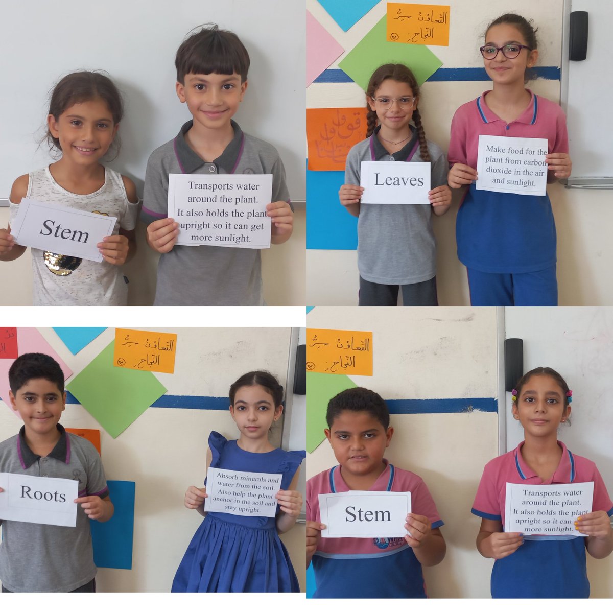 SamahGhorabi's tweet photo. Find your Partner Strategy" is one of the most strategies my learners like! 
Grade 4 learners applied it to know the function of each plant part.
@makdawhaschool @soha_nj @raefa_jomaa https://t.co/xPKyiRAvSO