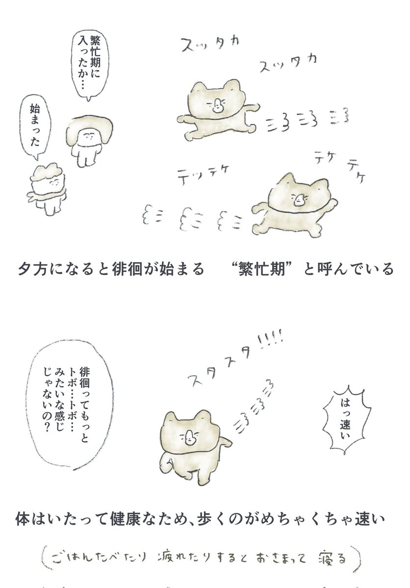 暴走老犬ニーニー 