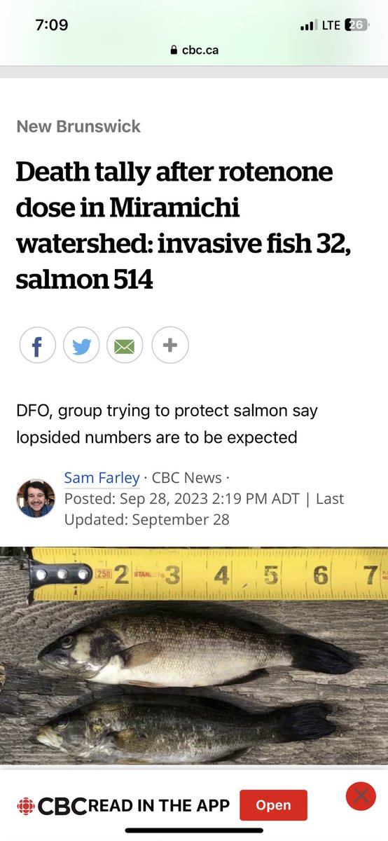 drtightline's tweet photo. If #rotenone (safe, effective, proven) added to #Miramichi headwater #lake then headline = 0 #salmon and 1000s of #invasive bass dead. Invasion threat is the lake and idiots who move fish around. Bass will NOW colonize entire watershed which for 10,000 years 0 bass have existed https://t.co/FJrRfs9Gq4