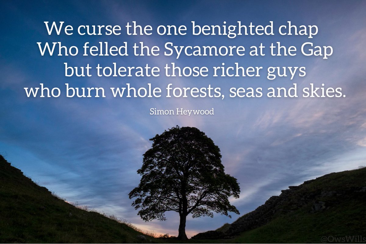 OwsWills's tweet image. 