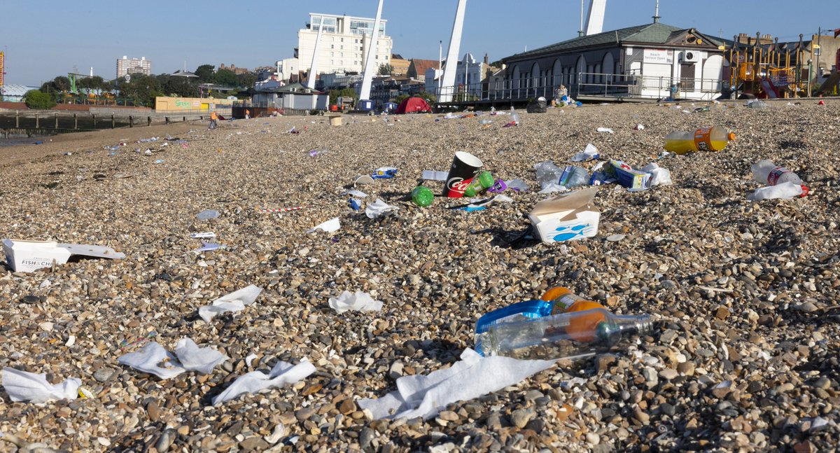 Pocket Rocket tweet media