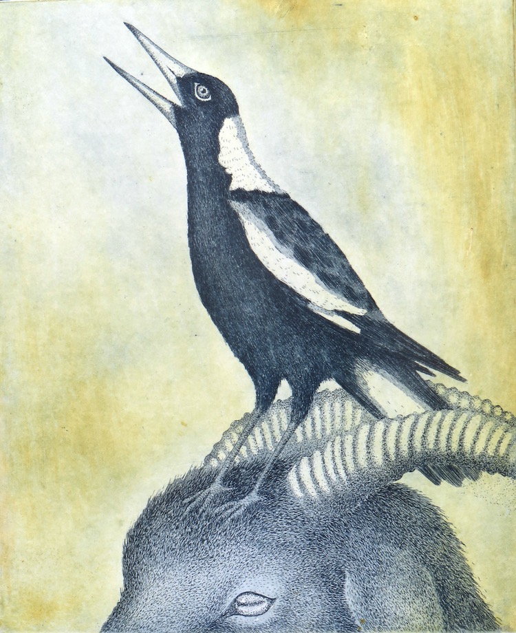 Q_cliffGallery's tweet photo. Magpies... by Philip Davey, Sir Arthur Streeton and Kati Thamo, all available at QG.

#magpie #magpies #grandfinal #premiers #artgallery #originalart #buyartonline #buyart https://t.co/5yOBfDMPpk