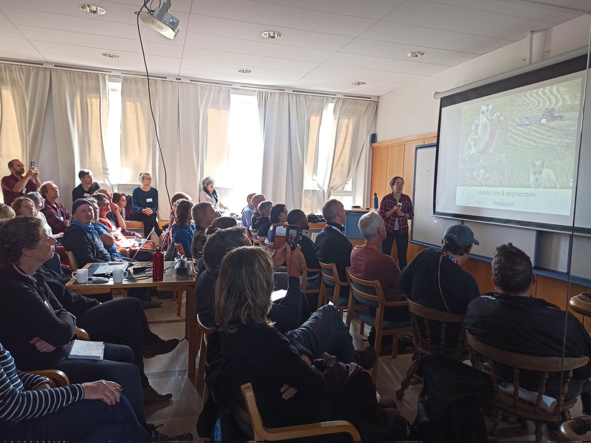 😎Crowded audience for @_SamanthaFranks at #IWSG2023 to know more about what happens to headstarted Eurasien curlews in the UK ! 🧐
@WaderStudy