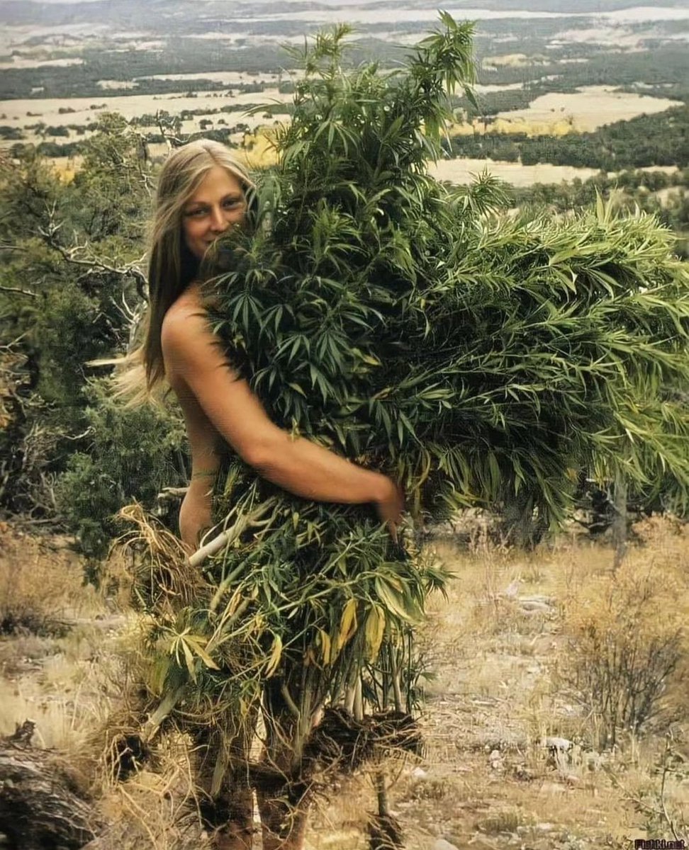 A girl with a massive bush in the 1970s.