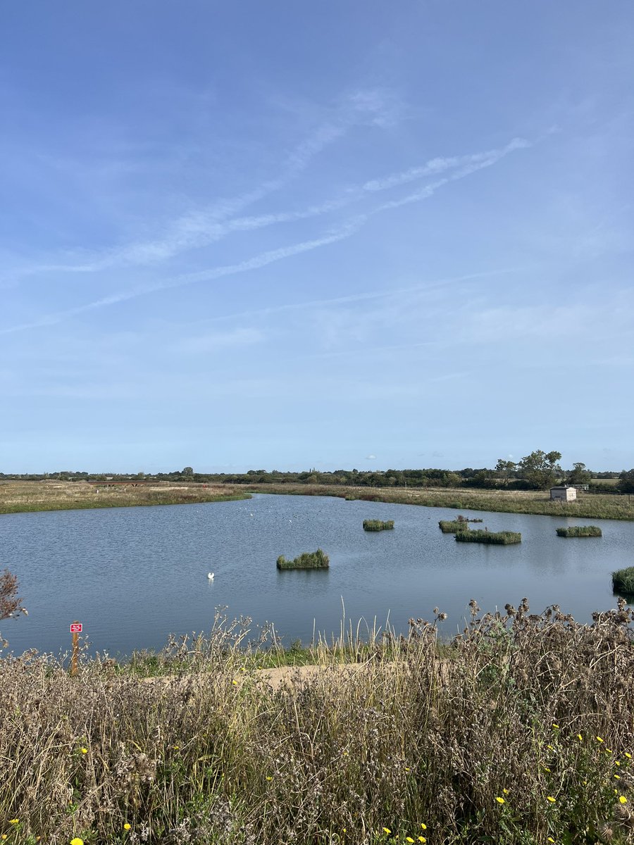 Enjoyed exploring a new part of Northstowe this morning with a coffee in the sunshine.