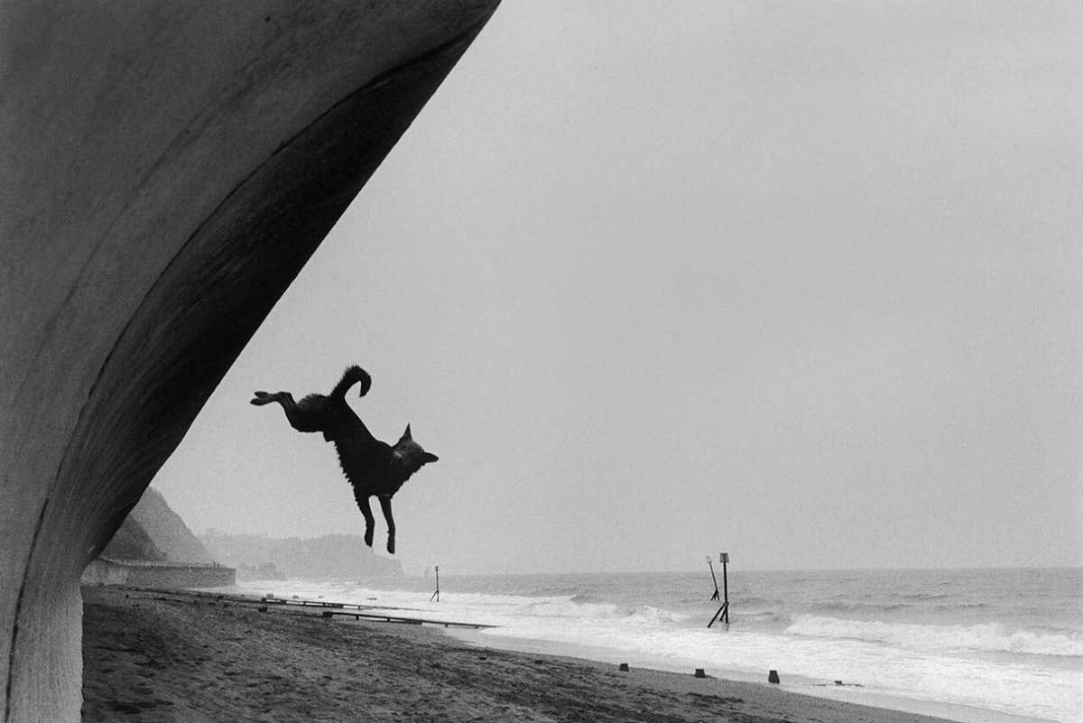Bertrom's tweet photo. Roger Deakins.

Inevitable that such an iconic cinematographer would also be a brilliant still photographer. https://t.co/DLKkNYuZun