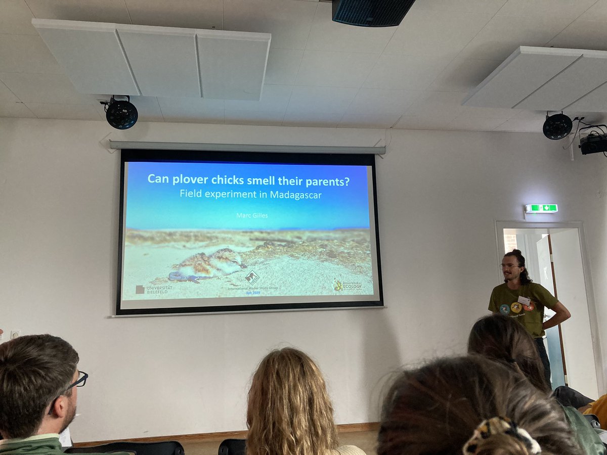 Can plover chicks smell their parents? This talk by @_Marc_Gilles at @WaderStudy actually smells divine #IWSG2023