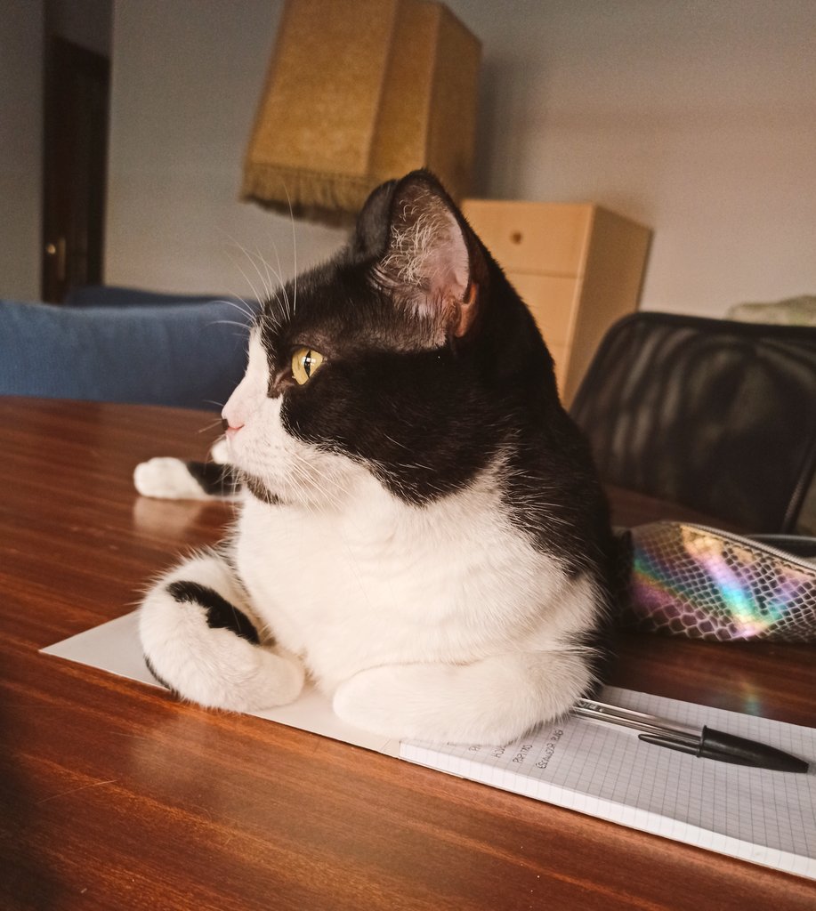 Pingüi is fine. We're just not doing the grocery list right now.