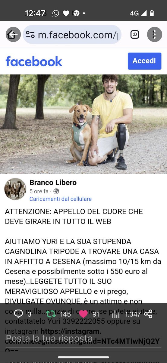 Emilystellaemi2's tweet photo. YURI E LA SUA CAGNOLINA, CERCANO UNA CASA IN AFFITTO, A CESENA O NELLE VICINANZE. SOTTO I 550 EURO AL MESE. AIUTIAMOLI GRAZIE 👍😂😂❤️❤️❤️❤️ https://t.co/sfjhKjAxPl