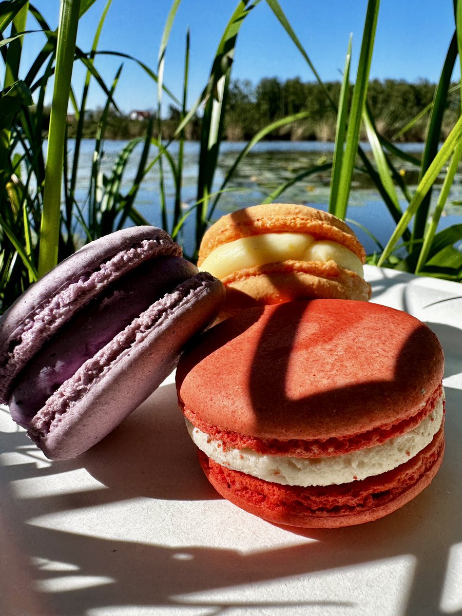 the_heartofwine's tweet image. Пофоткали макаруни та українські ігристі на тлі цієї осені. Неповірите, добре охолоджене ігристе, може бути й рожеве прекасно йдуть з макарунами. Але, є універсальне правило: вино – це емоція, смакує воно тоді, коли є бажання його скуштувати, тому... ловість свою емоцію.