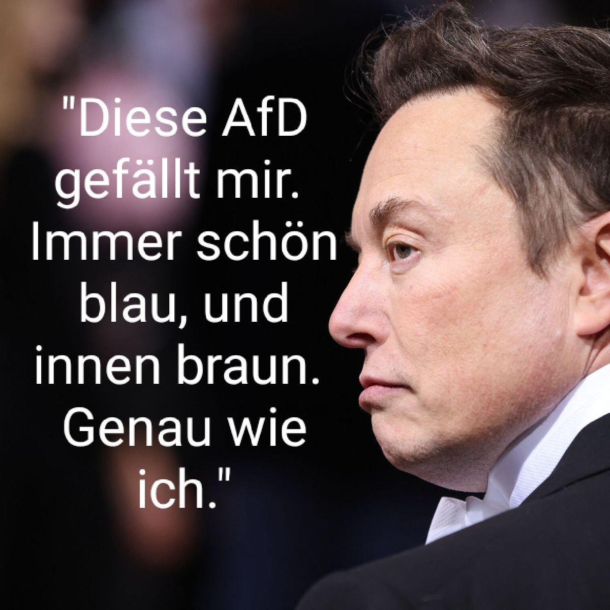 Anonymous Germany tweet media