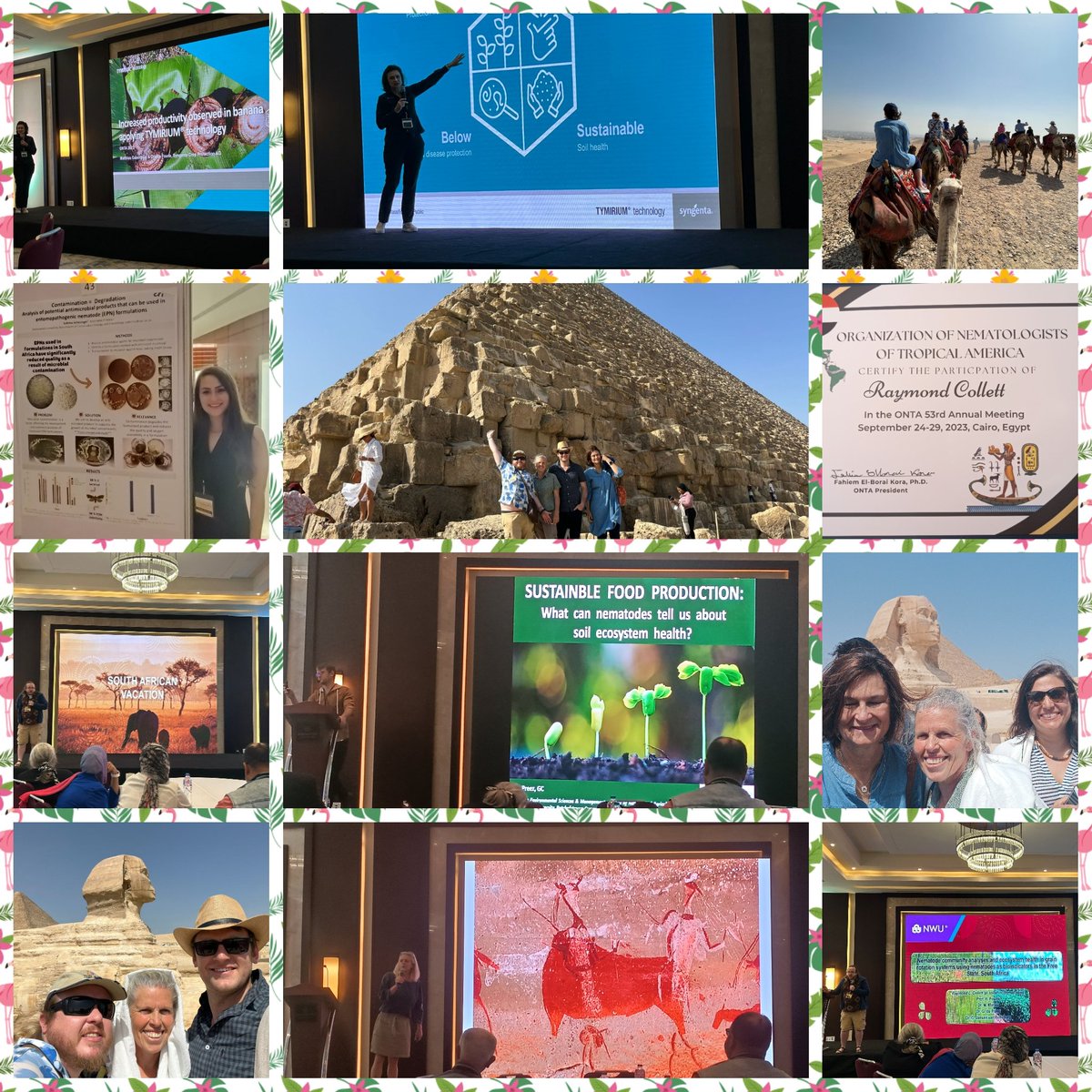 RaymondCollett1's tweet photo. Representing South Africa at the ONTA meeting in Cairo, Egypt. From @theNWU Dr G du Preez, R L Collett, and Prof D Fourie. From @StellenboschUni S Schlesinger. From @ARCSouthAfrica and @theNWU Dr M S Daneel. Also, R L Collett represents @UFSweb as a visiting student. #ONTA #RSA https://t.co/7mmjSmYOIb