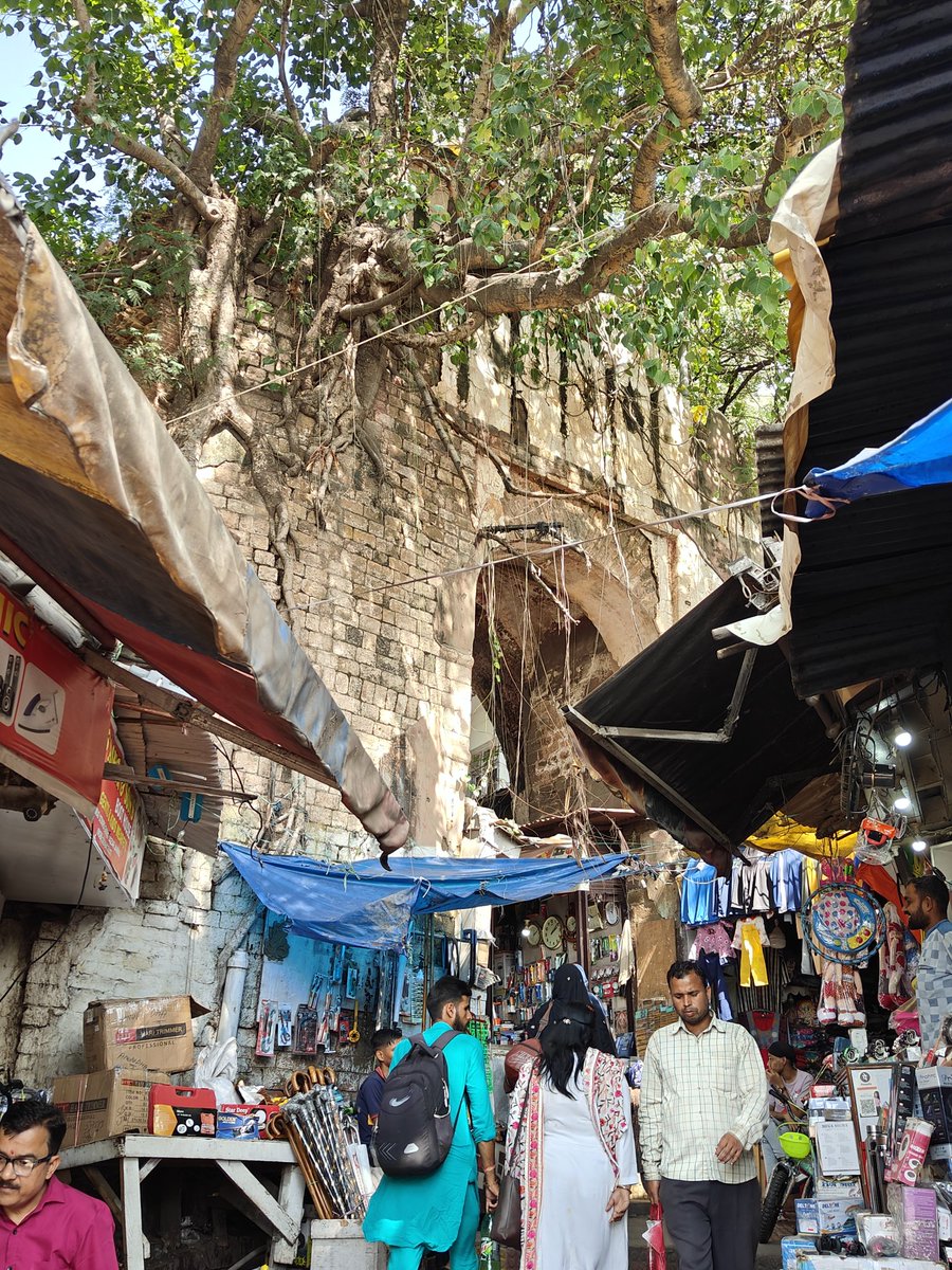 anshch97's tweet photo. The story of a 200-250 year old gate.
#GUMAT GATE (Tangible heritage of the walled city of #Jammu)
👉First image is from 1876 (Prince of Wales entering the city)
👉2nd image is from the 1920s
👉And the last two were clicked today.
@SyedAbidShah https://t.co/X9JVxP5CKQ