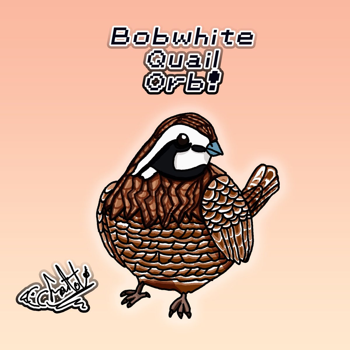 ChattyChatot's tweet photo. 28th Septembird! I think he turned out okay! Let me know what you think of Bobwhite Quail orb of orbness ❤️🦜#girlgamer #smallstreamer #birds #birdlovers #birbart #birdorb #smallstreamer #birb #bird #septembird #septembirds #septembird2023 #septembirdchallenge #bobwhitequail https://t.co/tvncQD5c5I