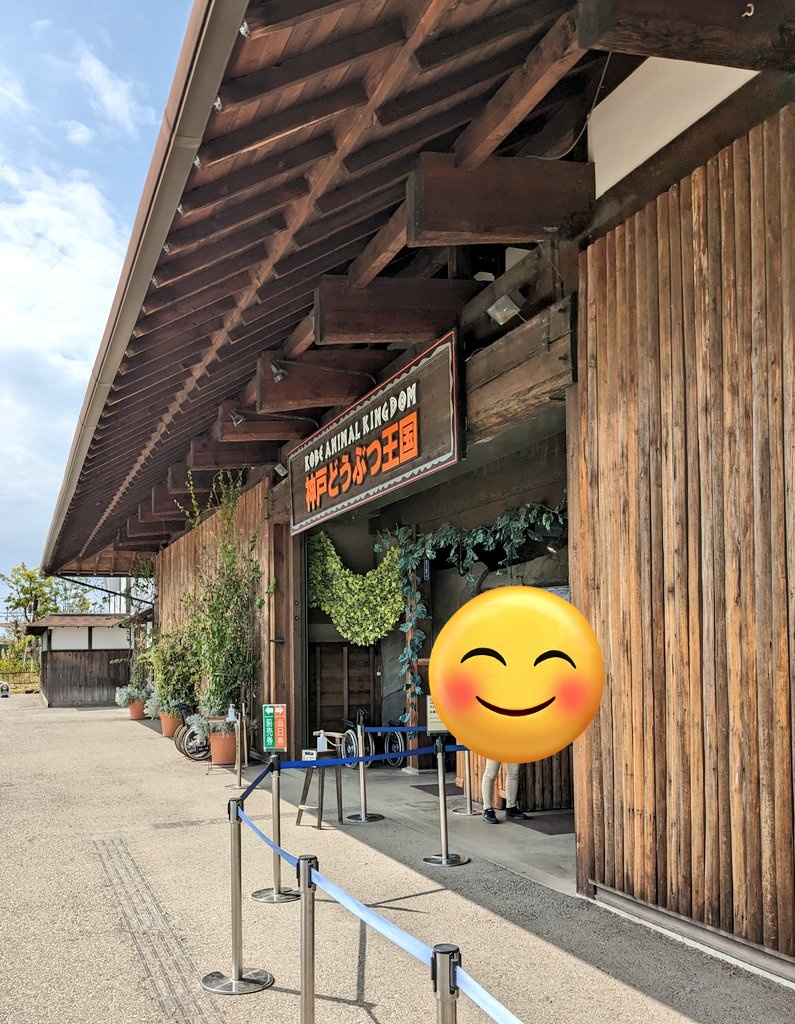 Taka_eir_asca's tweet photo. 本日の現場☺️🐈🦜
溢れるスナネコ欲と鳥欲、満たして参りました🥰(わたしが行きたかっただけとも言うw)
可愛いけどギラついてる✨
そんなあの子にメロメロっ!😼😍
#今日のスナネコ
#ASCA
#RealDawn
#神戸どうぶつ王国 https://t.co/XLTMzVdtcY