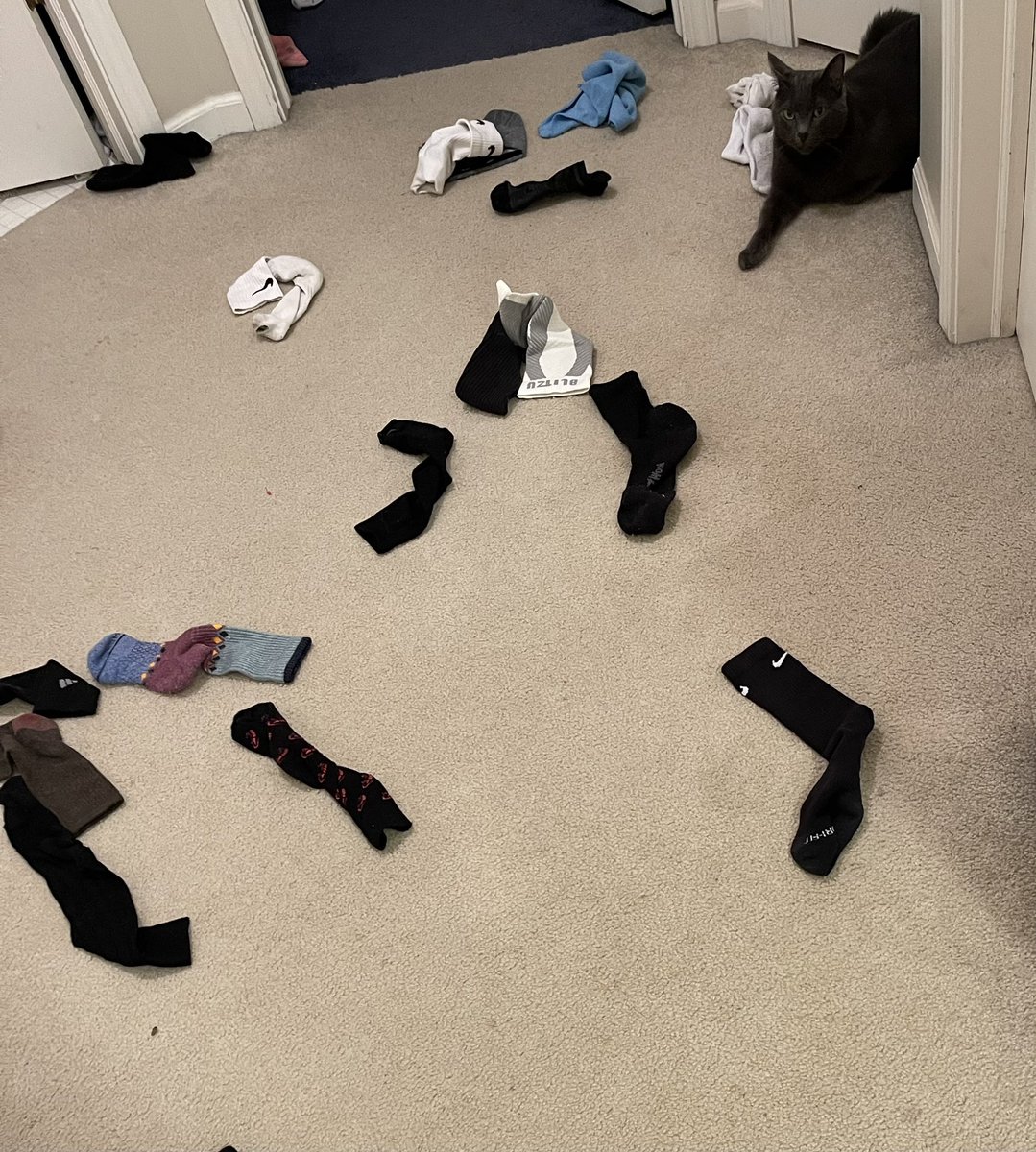 karrie_joy's tweet photo. Every morning I wake up to this outside my bedroom door. Idk where the cat even finds all these socks, but this is clearly why I never have matches! Good thing he isnβt an outdoor cat! π³ππ«£π§¦π± #missingsocks #winston #thanksfortheoffering #canyouputhembacknow https://t.co/TwZQMhR7mm
