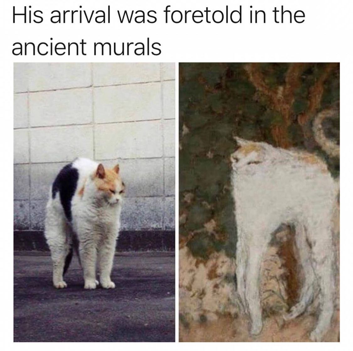 🕐HOURLY🕑 shitpost (@hourly_shitpost) on Twitter photo 