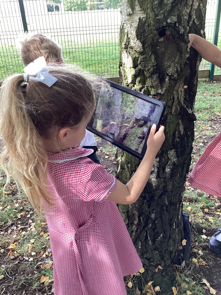 Yr1 using iPad technology for their Strong Start science observation lessons. How amazing is this, some of the youngest in our school using technology to enrich their learning. Great work Hedgehogs Class. <a href="/baronbedford/">Alex Bedford</a>
