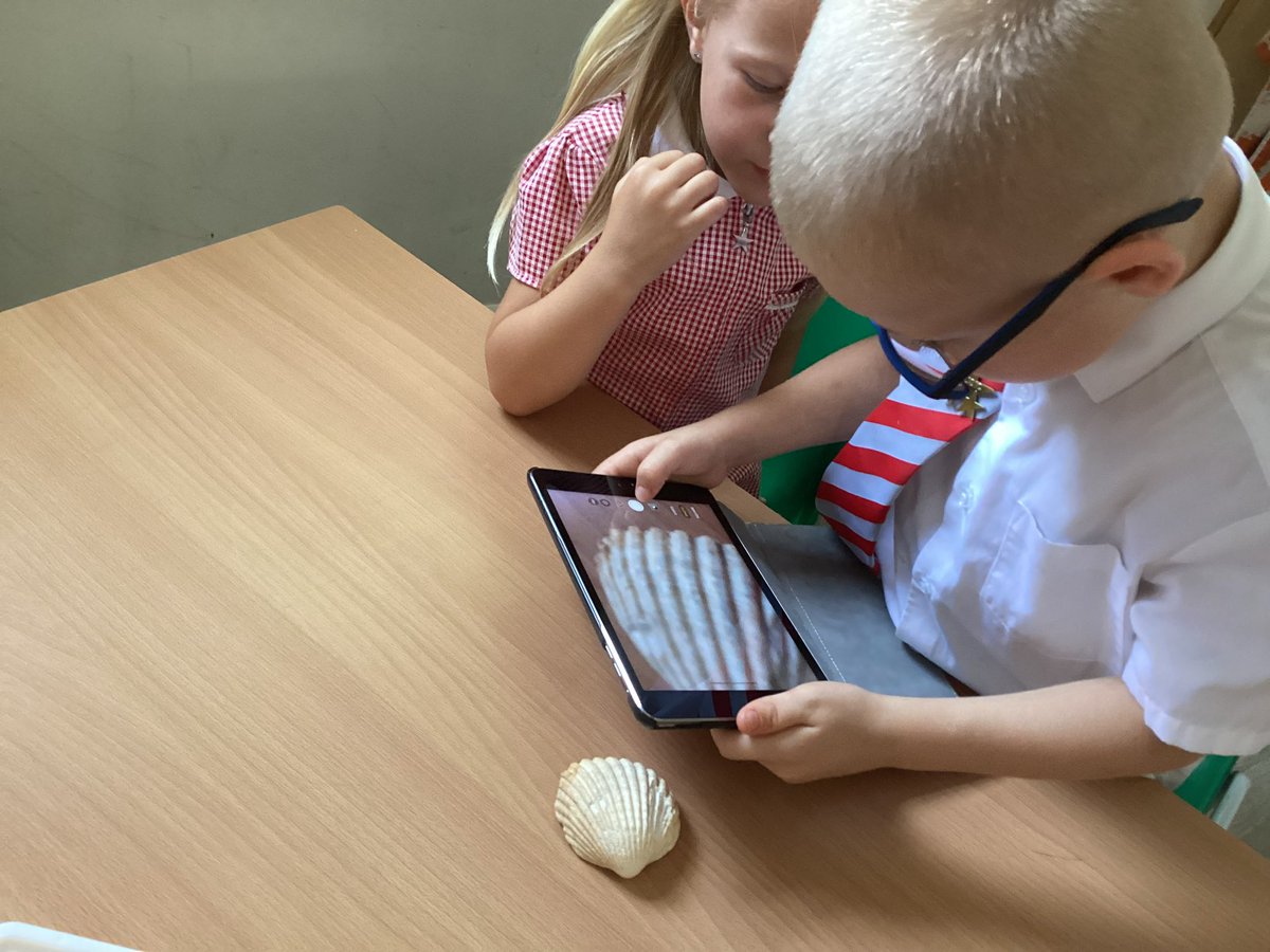 WickhambrookP's tweet photo. Yr1 using iPad technology for their Strong Start science observation lessons. How amazing is this, some of the youngest in our school using technology to enrich their learning. Great work Hedgehogs Class. @baronbedford https://t.co/hyWHvMkSRC