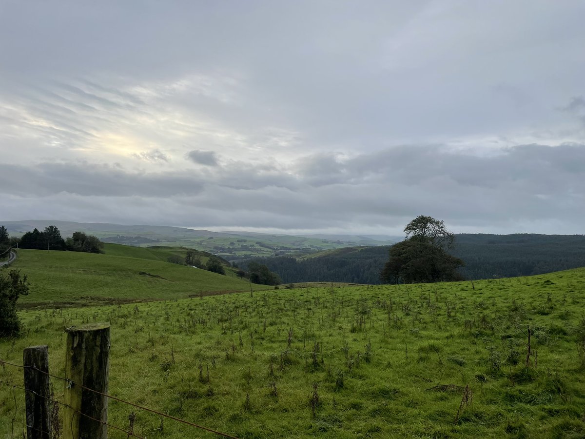 Callum Jones-YC tweet media