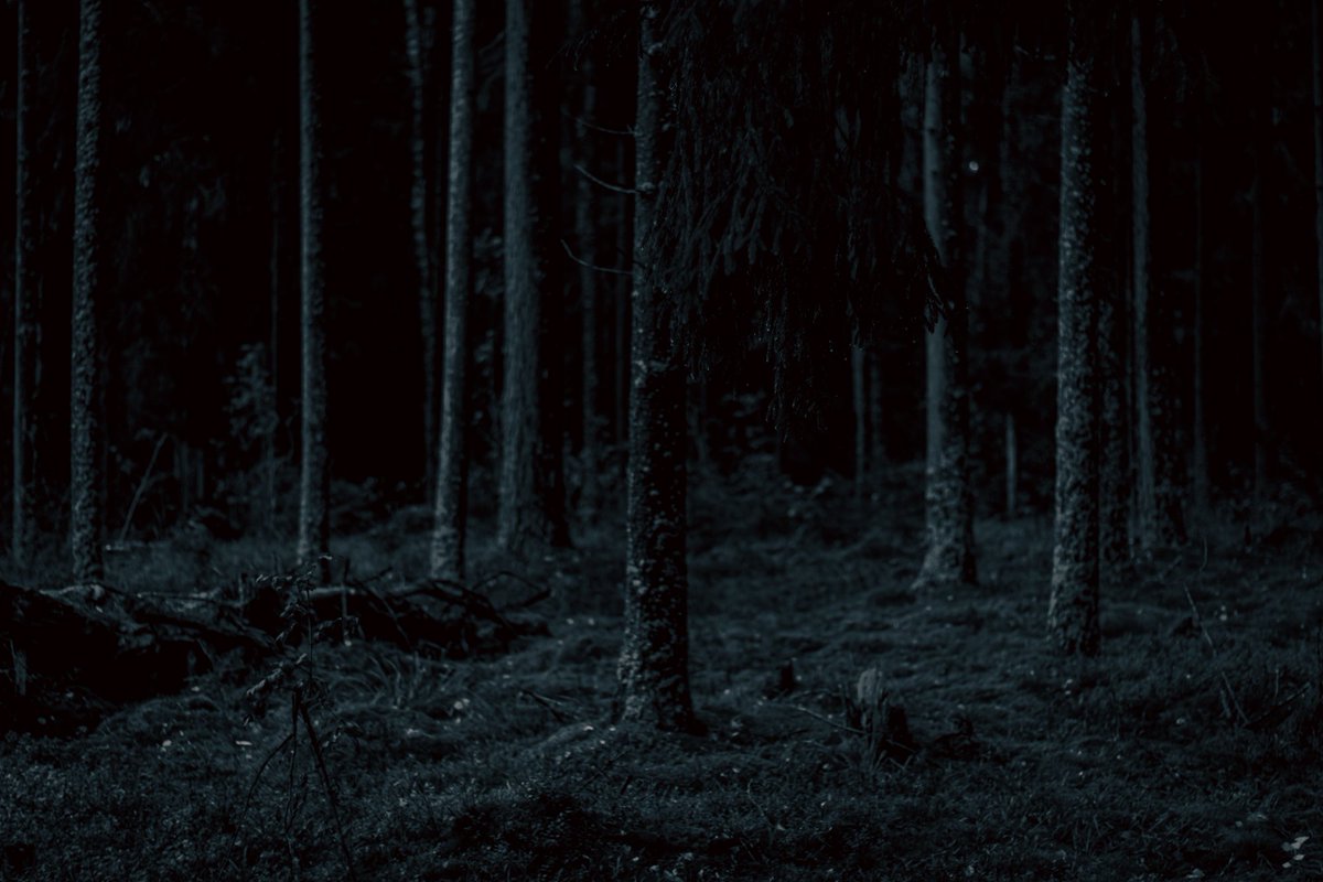 Beheroght's tweet photo. #landscape #beautiful #darknature #lithuania #soul #darksoul #blackandwhite #чб #bnw #naturephotography #darkness #тьма #dark #forest #nature #blackmetal #darkmetal #metal #photography https://t.co/RWMatGYdl9