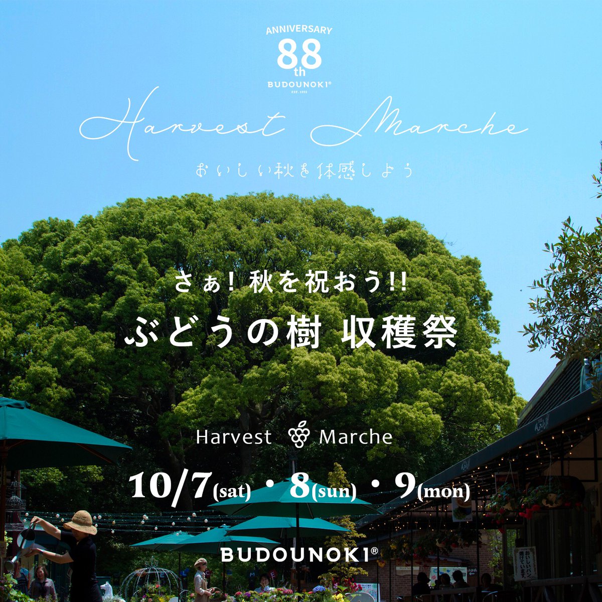 budounoki_group's tweet photo. 10月7日〜9日🍁🍂
秋を祝おう！！ぶどうの樹 収穫祭 あおぞらマルシェ✨
お野菜マルシェ、ライブダイニング、ぶどうの樹ワイナリー試飲販売、��きたてアップルパイ限定販売、プレミアム商品券直接販売、和菓子作り入門編 などを開催します😆💕
ご来店お待ちしております✨

#ぶどうの樹 #秋 #収穫祭 https://t.co/ZxOelPbBuf