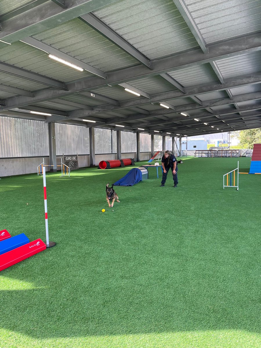 Le nouveau centre de formation K9-4 sur notre site Mercator à Neder-Over-Heembeek est officiellement inauguré! Un centre qui permettra aux policiers de la plus grande zone de police du pays de suivre des formations dans un environnement optimal &amp; innovant. 
<a href="/PhilippeClose/">Philippe Close</a>