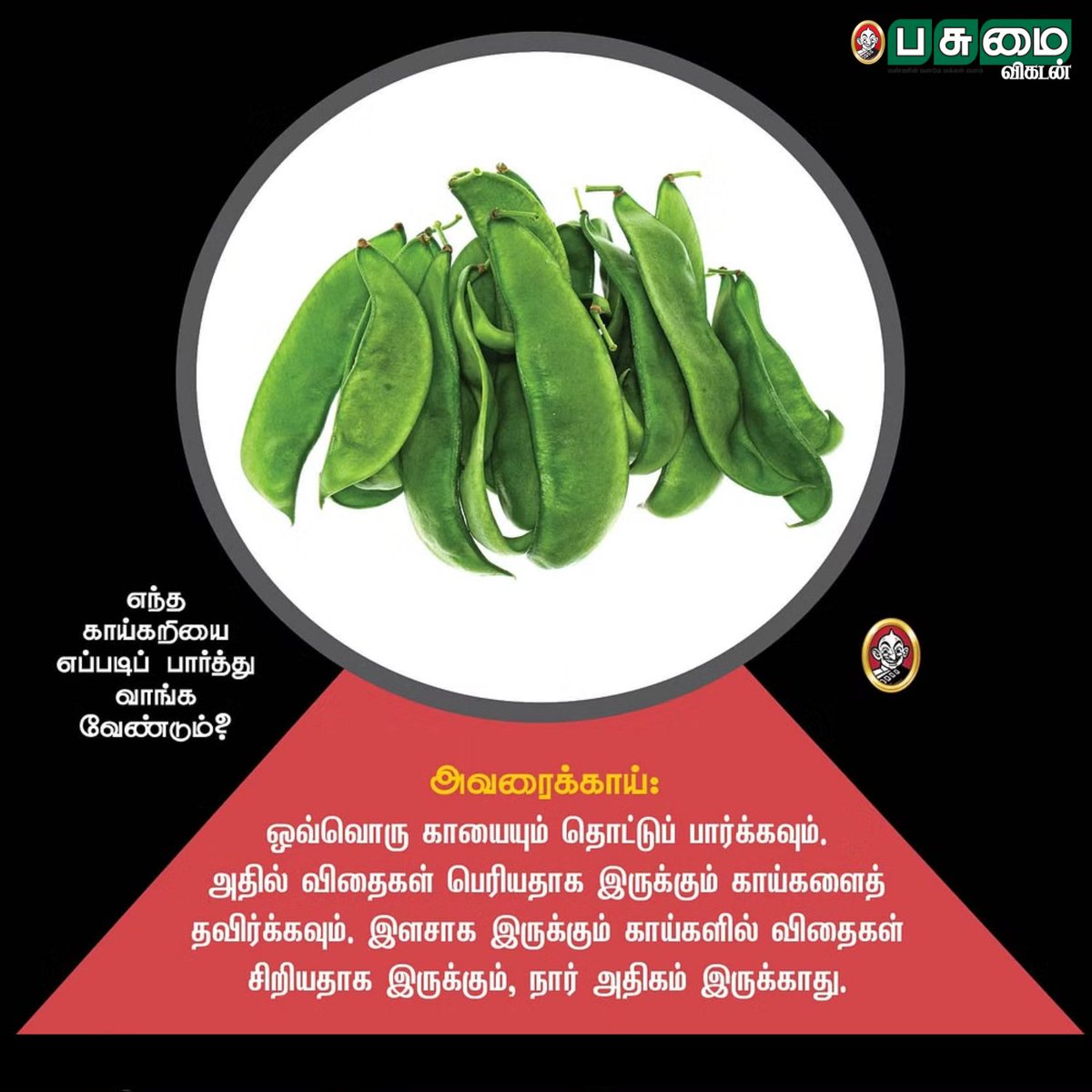 PasumaiVikatan's tweet photo. எந்த காய்கறியை எப்படிப் பார்த்து வாங்க வேண்டும்?

#Vegetable #Nature #Organic #OrganicVegetables #Pasumaivikatan https://t.co/hwgZwaQQG4