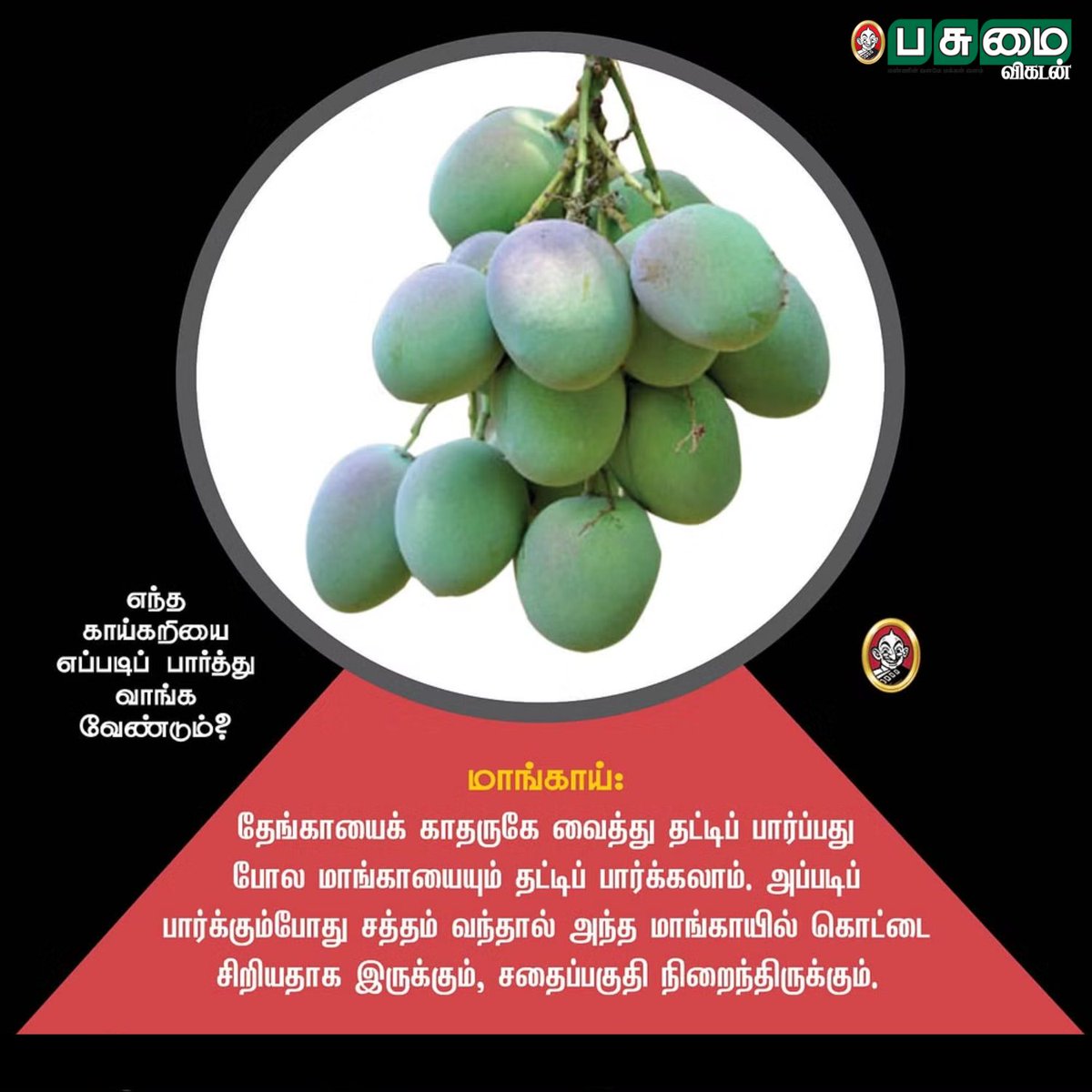 PasumaiVikatan's tweet photo. எந்த காய்கறியை எப்படிப் பார்த்து வாங்க வேண்டும்?

#Vegetable #Nature #Organic #OrganicVegetables #Pasumaivikatan https://t.co/hwgZwaQQG4