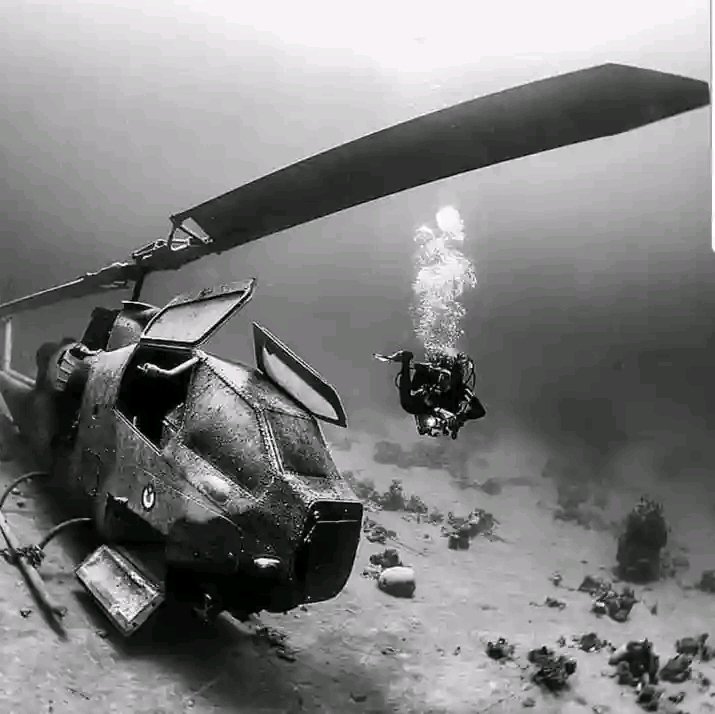 XRP_Avegerzs's tweet image. #Fallenbutnotforgotten